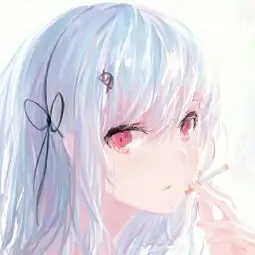 用户追番不睡觉的头像